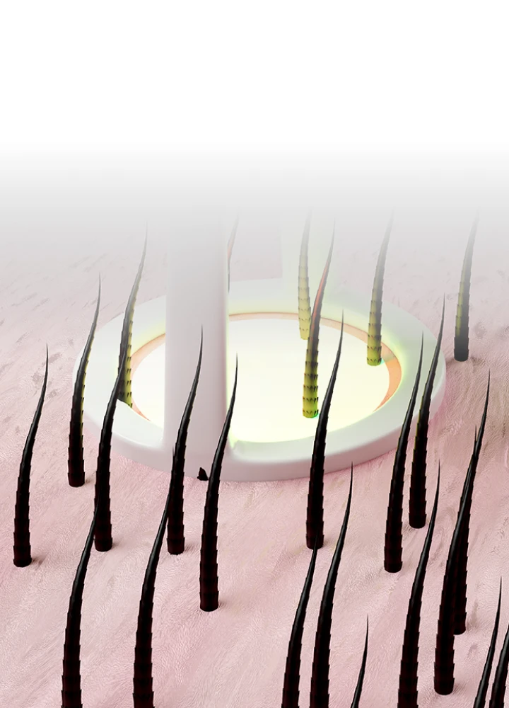 text_img_card_M